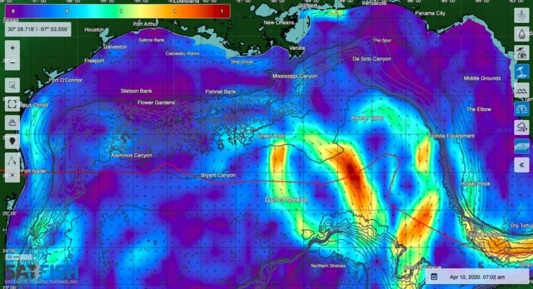 Gulf Of Mexico Fishing Maps