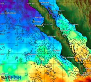 Baja California Fishing Maps