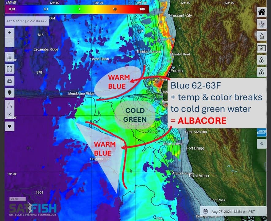 SatFish chlorophyll image for fishing for albacore in Northern California