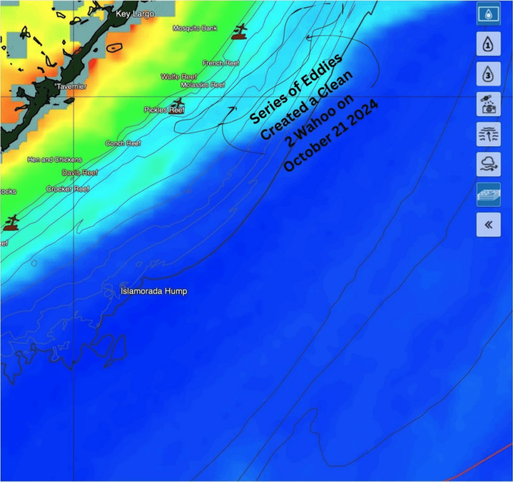 SatFish chlorophyll concentration map of the Florida Keys showing location of small eddies in the edge of the Gulf Stream for wahoo fishing