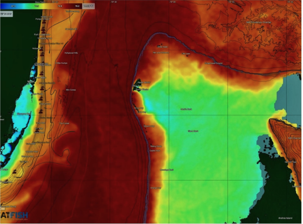 SatFish sea surface temperature (SST) map of Miami showing fingers and filaments for wahoo fishing in the Gulf Stream