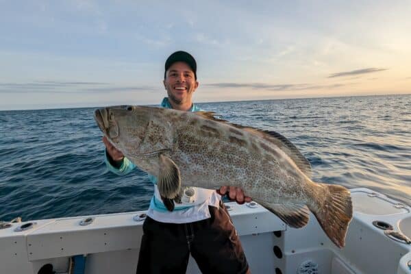 large grouper caught trolling in the Florida Keys