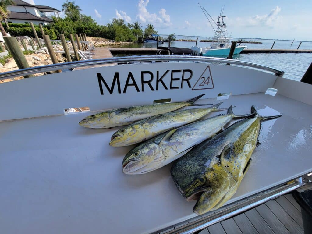 dolphinfish on a cutting board with a boat tied to a dock in the background