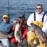 men holding wreckfish on a boat